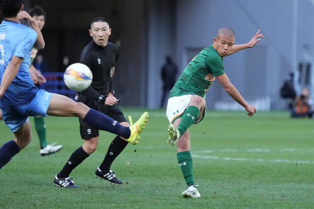 和多样化的 和多样化的