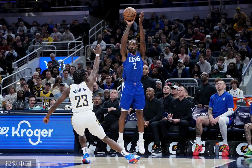 新晋的葡萄 新晋的葡萄