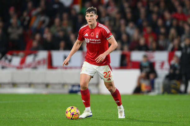 为后来者树 为后来者树